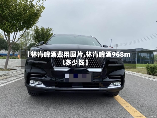 【林肯啤酒费用图片,林肯啤酒968ml多少钱】-第2张图片