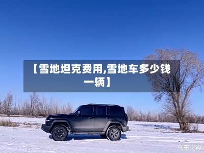 【雪地坦克费用,雪地车多少钱一辆】-第3张图片
