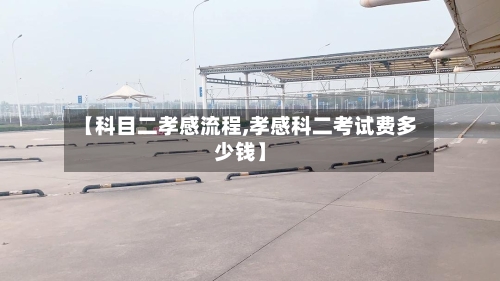 【科目二孝感流程,孝感科二考试费多少钱】-第2张图片