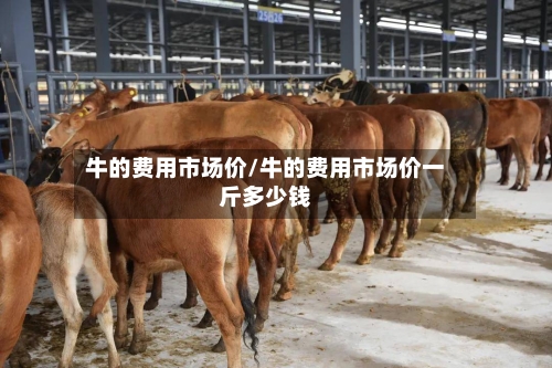 牛的费用市场价/牛的费用市场价一斤多少钱-第3张图片