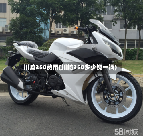 川崎350费用(川崎350多少钱一辆)-第2张图片