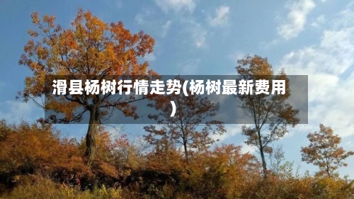 滑县杨树行情走势(杨树最新费用)-第2张图片