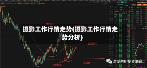 摄影工作行情走势(摄影工作行情走势分析)-第2张图片