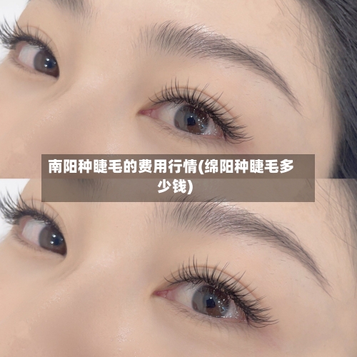 南阳种睫毛的费用行情(绵阳种睫毛多少钱)-第2张图片