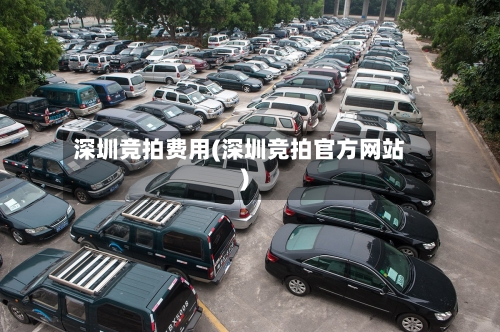 深圳竞拍费用(深圳竞拍官方网站)-第2张图片