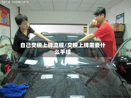 自己交税上牌流程/交税上牌需要什么手续-第2张图片