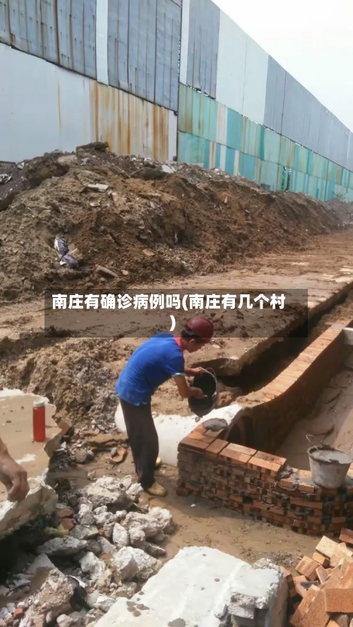 南庄有确诊病例吗(南庄有几个村)