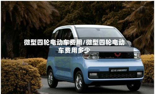 微型四轮电动车费用/微型四轮电动车费用多少-第2张图片