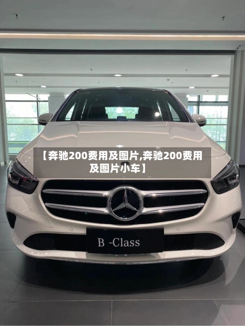 【奔驰200费用及图片,奔驰200费用及图片小车】