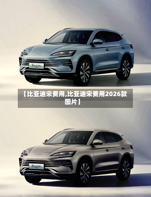 【比亚迪宋费用,比亚迪宋费用2026款图片】