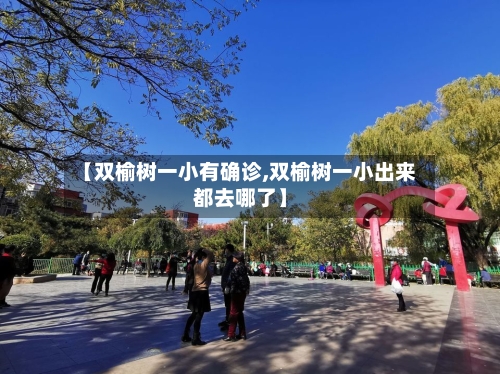 【双榆树一小有确诊,双榆树一小出来都去哪了】