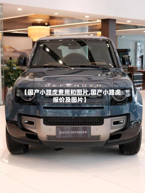 【国产小路虎费用和图片,国产小路虎报价及图片】