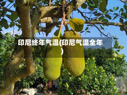 印尼终年气温(印尼气温全年)-第2张图片