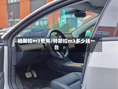 特斯拉m3费用/特斯拉m3多少钱一台
