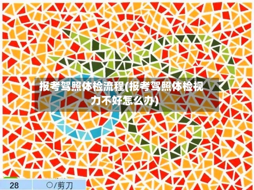 报考驾照体检流程(报考驾照体检视力不好怎么办)-第2张图片