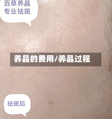 养晶的费用/养晶过程
