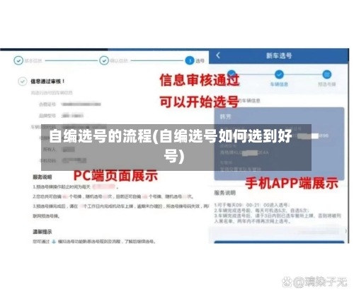 自编选号的流程(自编选号如何选到好号)