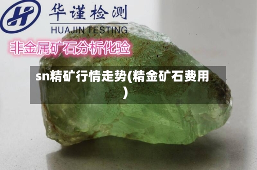 sn精矿行情走势(精金矿石费用)-第3张图片