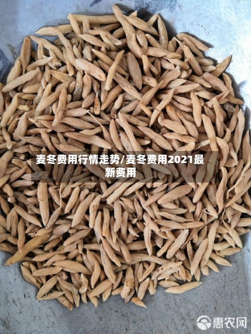 麦冬费用行情走势/麦冬费用2021最新费用-第2张图片