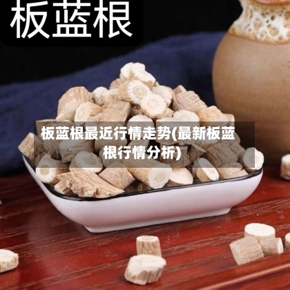 板蓝根最近行情走势(最新板蓝根行情分析)