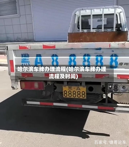哈尔滨车牌办理流程(哈尔滨车牌办理流程及时间)