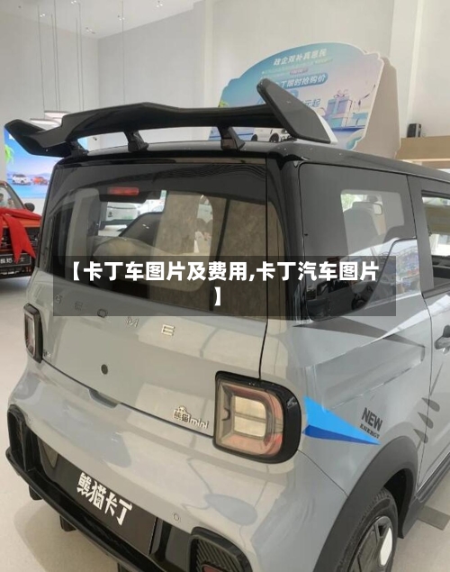 【卡丁车图片及费用,卡丁汽车图片】-第2张图片