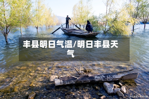 丰县明日气温/明日丰县天气