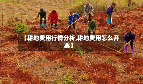 【耕地费用行情分析,耕地费用怎么开票】