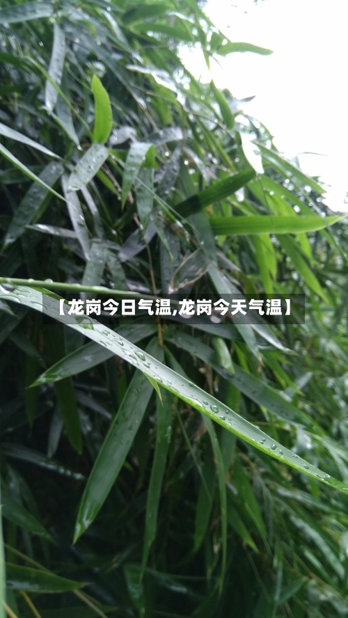 【龙岗今日气温,龙岗今天气温】