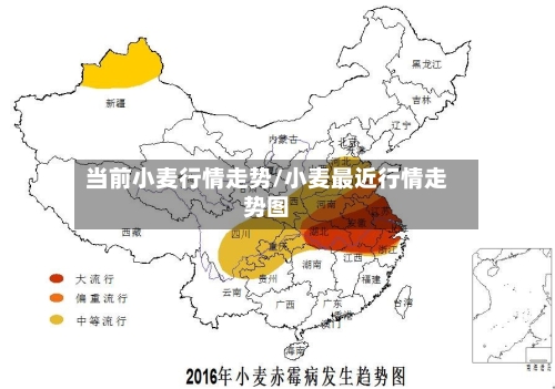 当前小麦行情走势/小麦最近行情走势图