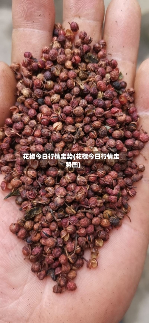 花椒今日行情走势(花椒今日行情走势图)